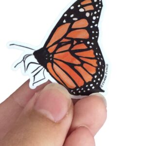 Ontario Butterfly Stickers